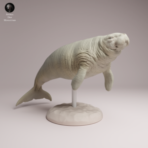 Figurine de Rhytine de Steller à l'échelle 1/100 en résine, posée sur son socle marin texturé, prête à être peinte.