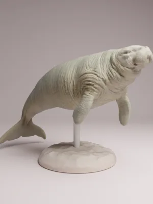 figurine-rhytine-de-steller-1-100-resine Figurine de Rhytine de Steller à l'échelle 1/100 en résine, posée sur son socle marin texturé, prête à être peinte.