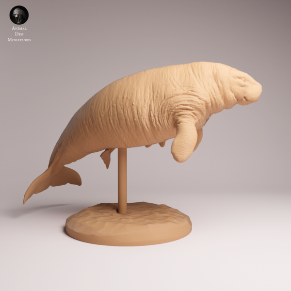 Base texturée fond marin avec ondulations pour l'exposition du kit résine animaux éteints.