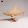 Gros plan sur les détails anatomiques de la maquette requin bouledogue : fentes branchiales, œil et nageoire dorsale.