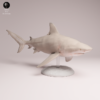 Figurine requin bouledogue en résine brute à peindre, échelle 1/32, vue de profil montrant la nage dynamique.