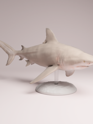 Figurine requin bouledogue en résine brute à peindre, échelle 1/32, vue de profil montrant la nage dynamique.