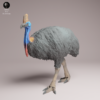 Exemple de peinture réaliste sur la figurine de casoar pour modélisme animalier, avec plumage noir et cou bleu.