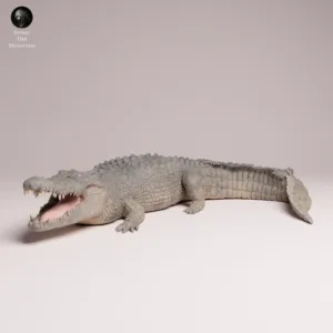 Maquette crocodile marin peinte illustrant les détails anatomiques réalistes, les dents acérées et l'œil jaune.