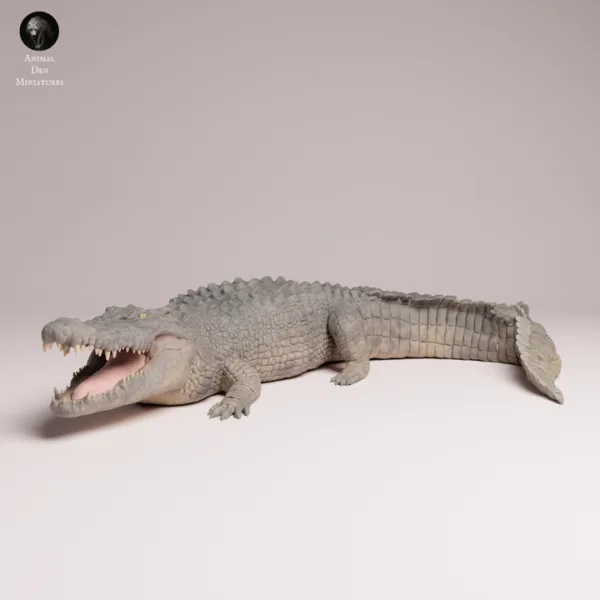 maquette-crocodile-peinte-details-realistes Maquette crocodile marin peinte illustrant les détails anatomiques réalistes, les dents acérées et l'œil jaune.