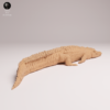 Gros plan sur les écailles et la texture de peau réaliste du dos de la maquette crocodile en résine 3D.