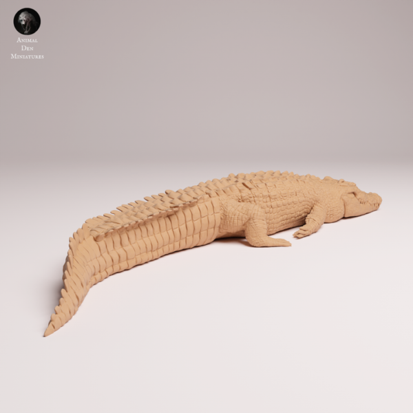 Gros plan sur les écailles et la texture de peau réaliste du dos de la maquette crocodile en résine 3D.