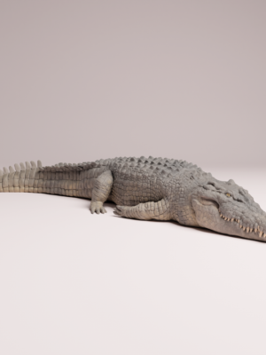 figurine-crocodile-marin-resine-3d-1-32 Figurine miniature hyper-détaillée d'un crocodile de mer couché à l'échelle 1/32, imprimée en résine grise brute.