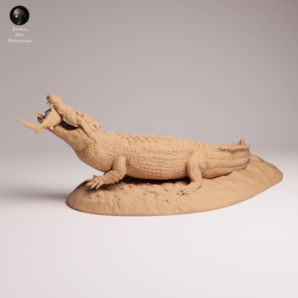 texture-ecailles-crocodile-maquette Zoom sur les ostéodermes et les écailles dorsales de la maquette de crocodile en résine haute résolution.