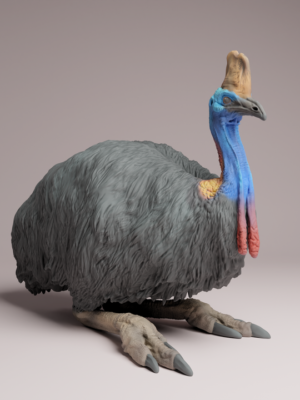 Exemple de peinture sur figurine d'un casoar à casque à l'échelle 1/24 avec cou bleu électrique et caroncules rouges.