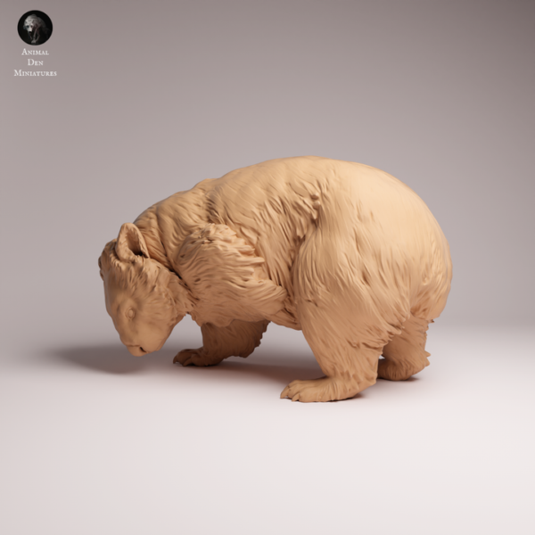modelisme-animalier-wombat-socle Impression 3D haute résolution du wombat sur sa base circulaire imitant un sol rocheux et terreux.