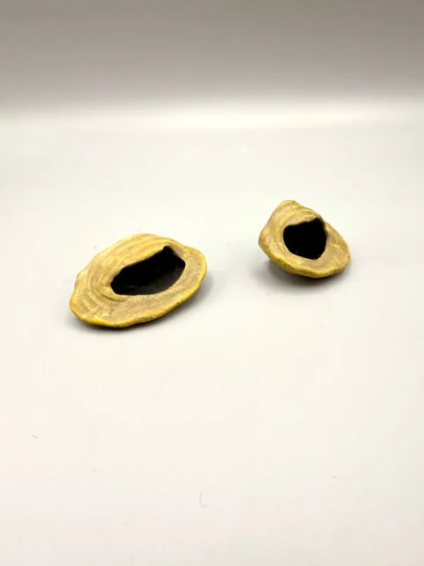 Détail des stries de croissance et de la cavité protectrice de ce nid araignée sauteuse en impression 3D.