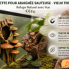 Cachette araignée sauteuse à peindre en forme d'écorce avec champignons, idéale pour terrarium.