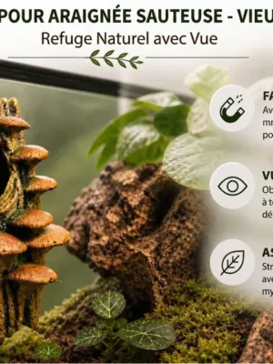 cachette-araignee-sauteuse-a-peindre Cachette araignée sauteuse à peindre en forme d'écorce avec champignons, idéale pour terrarium.