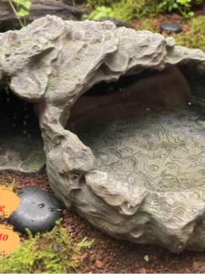 cachette-ecuelle-terrarium-reptile-a-peindre Cachette avec écuelle terrarium à peindre, un abri 2-en-1 imitation roche naturelle pour reptiles et amphibiens.