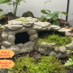 Cachette écuelle terrarium reptile à peindre avec finition roche naturelle et mousse.