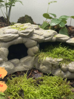 cachette-ecuelle-terrarium-reptile-peinte Cachette écuelle terrarium reptile à peindre avec finition roche naturelle et mousse.