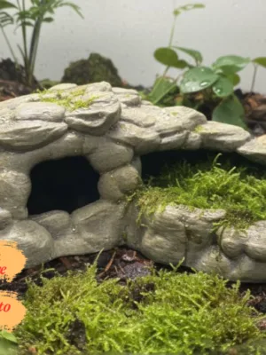 cachette-ecuelle-terrarium-reptile-peinte Cachette écuelle terrarium reptile à peindre avec finition roche naturelle et mousse.