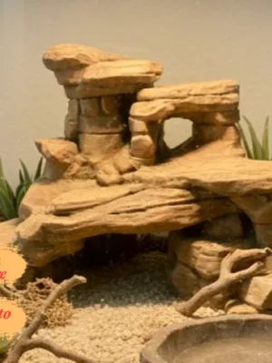 decor-canyon-rock-terrarium-peint Décor Canyon Rock terrarium à peindre, formation rocheuse réaliste pour reptile et amphibien.