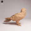 Zoom de profil sur la tête sculptée d'une figurine de grand rapace avec son bec crochu et sa barbe caractéristique.