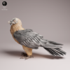 Figurine en résine brute de gypaète barbu à l'échelle un douzième vue de face montrant les détails du plumage.