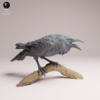 Figurine de Grand Corbeau croassant en résine brute échelle 1/6 pour modélisme.