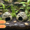 Cachette originale terrarium à peindre avec visage de pierre mystique, idéale comme abri pour reptile.