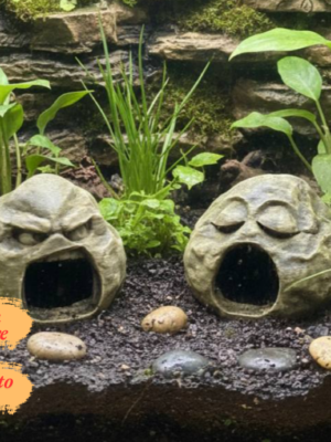 Cachette originale terrarium à peindre avec visage de pierre mystique, idéale comme abri pour reptile.