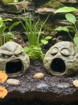 cachette-originale-terrarium-peinte Cachette originale terrarium à peindre avec visage de pierre mystique, idéale comme abri pour reptile.