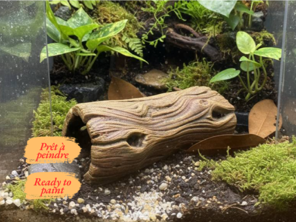 decor-tunnel-bois-cachette-terrarium Tunnel de sol imitation écorce de bois installé au sol d'un terrarium bioactif tropical avec plantes et mousses.