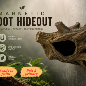 Cachette gecko magnétique installée en hauteur dans un terrarium tropical brumeux au-dessus d'un lézard vert.