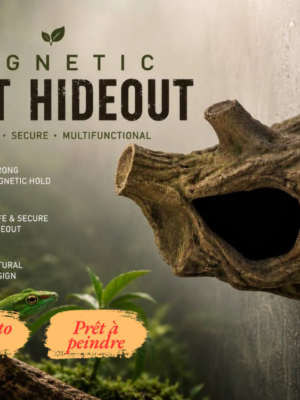 cachette-gecko-magnetique-terrarium-humide Cachette gecko magnétique installée en hauteur dans un terrarium tropical brumeux au-dessus d'un lézard vert.