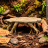 Plateforme d'observation pour terrarium en PLA brut, montrant les détails des racines et de l'écorce.