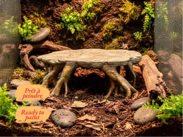 Plateforme d'observation pour terrarium en PLA brut, montrant les détails des racines et de l'écorce.