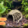 Vue de face d'une cachette pour terrarium en forme de roche, surmontée d'un parasite extraterrestre avec de longues pattes osseuses.