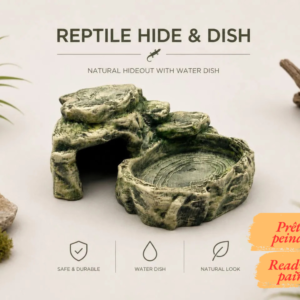 Mise en scène de la décoration terrarium désertique à peindre, installée sur un lit de sable fin au milieu de plantes succulentes.
