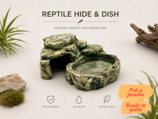 bassin-eau-integre-invertébres Mise en scène de la décoration terrarium désertique à peindre, installée sur un lit de sable fin au milieu de plantes succulentes.