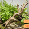 Cachette branche terrarium à peindre, un abri pour reptile et poisson avec finition écorce naturelle.