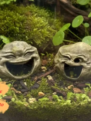 cachette-originale-terrarium-peinte Cachette originale terrarium à peindre en forme de visage souriant, parfaitement intégrée comme grotte pour reptile.