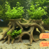 Cachette racine terrarium aquarium à peindre, un décor aquascape naturel avec espaces de plantation intégrés.
