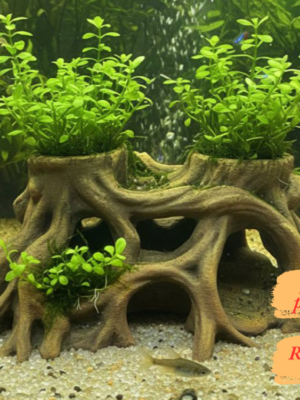 cachette-racine-terrarium-aquarium-peinte Cachette racine terrarium aquarium à peindre, un décor aquascape naturel avec espaces de plantation intégrés.