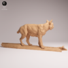 Gros plan sur le visage et le pelage épais de la miniature de lynx boréal pour diorama, montrant la texture réaliste de sa fourrure et ses oreilles en pointe.