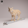 Figurine d'un lynx boréal miniature en résine à l'échelle 1/24, posé en équilibre sur une souche de bois mort, prêt à être peint.