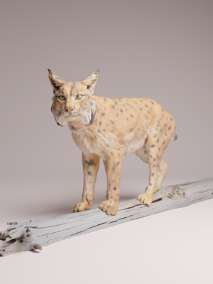 figurine-lynx-boreal-resine-peindre Figurine d'un lynx boréal miniature en résine à l'échelle 1/24, posé en équilibre sur une souche de bois mort, prêt à être peint.