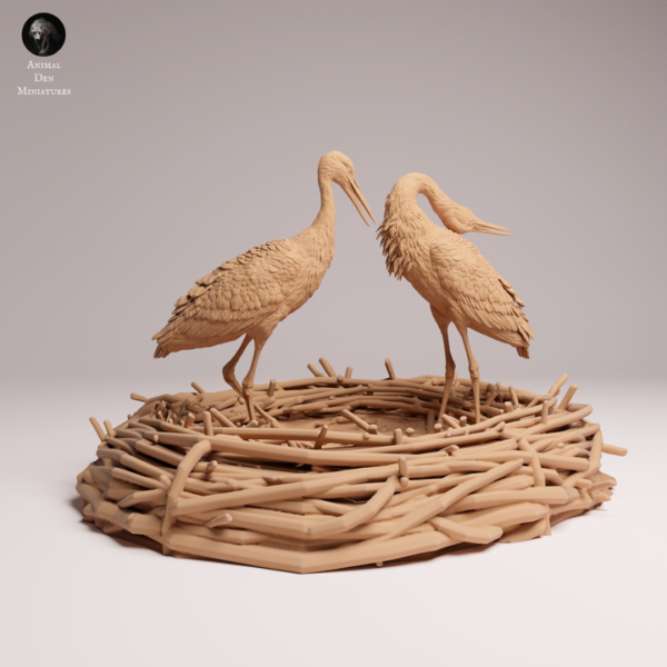 Vue de profil de deux cigognes en pleine parade nuptiale, illustrant la posture gracieuse du cou courbé en arrière de la femelle et le bec pointé vers le bas du mâle.