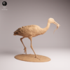 detail-plumage-oiseau-resine-brute Gros plan sur la figurine oiseau résine modélisme non peinte, de couleur beige, révélant la finesse exceptionnelle du plumage et le relief précis des ailes.