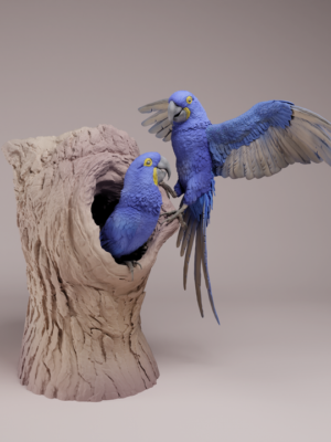 diorama-ara-hyacinthe-en-vol Vue détaillée du premier ara hyacinthe sculpté en plein vol, avec les ailes grandes ouvertes montrant la précision de la texture des plumes sur la figurine brute.