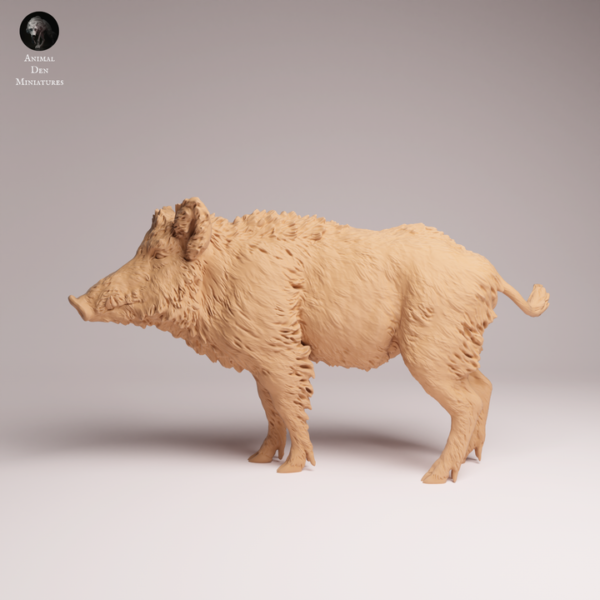 Gros plan sur la crinière et le grognon d'une miniature animalière échelle 1/24 en résine, mettant en évidence les petites défenses saillantes prêtes à être peintes.