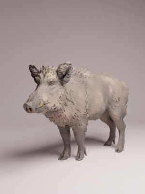 sanglier-realiste-peint-diorama Exemple de mise en situation d'un sanglier réaliste pour jeu de plateau, minutieusement peint avec des nuances de brun et de gris pour un rendu naturel.