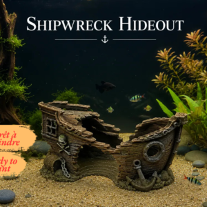 Vue de face d'une cachette épave navire pirate aquarium, montrant une coque brune brisée en son centre, avec un hublot circulaire et une grande ancre sculptée à l'avant.